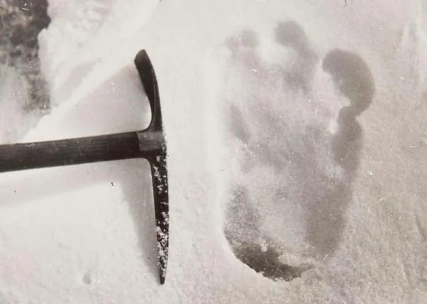 yeti footprint